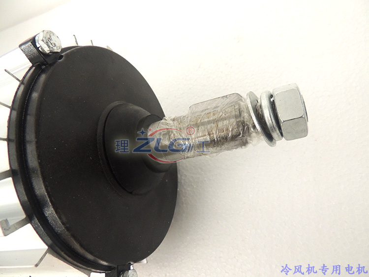 冷風(fēng)機(jī)電機(jī)2