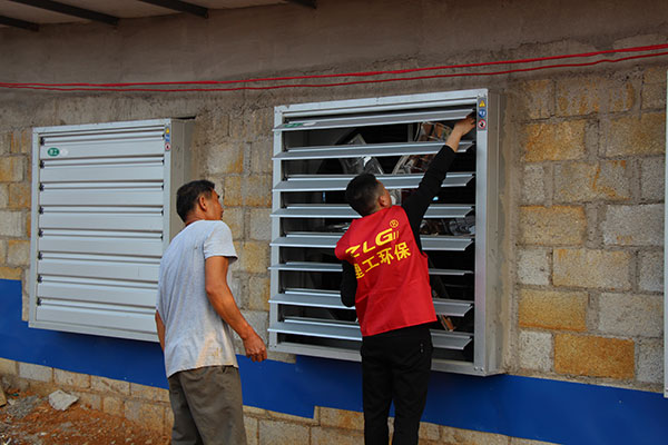 養(yǎng)豬場(chǎng)降溫水簾設(shè)備案例