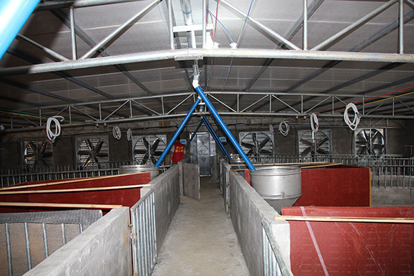 豬場降溫設(shè)備負(fù)壓風(fēng)機