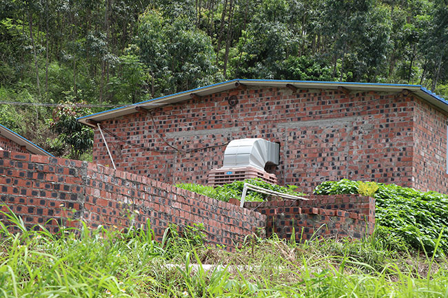 通風是豬舍排熱降溫的重要措施之一